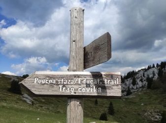 Trag zviri