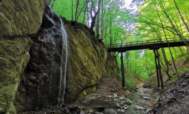MEDVEDNICA – DEDINA OBILAZNICA 1. IZLET OPŠ 22.02.2025.