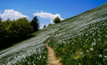 GOLICA – PLANINA NARCISA 8.izlet OPŠ – 18.5.2025.