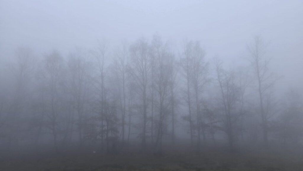 B1b740d2 59b1 455a 8ac3 64adc1b2281a