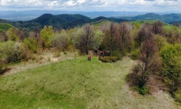 Slika1