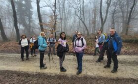 529b806c dcbc 4b45 96d5 8a8fbe3ae234