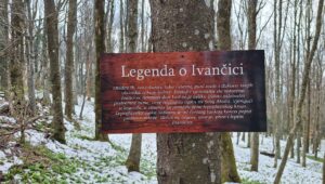 Legenda o Ivancici
