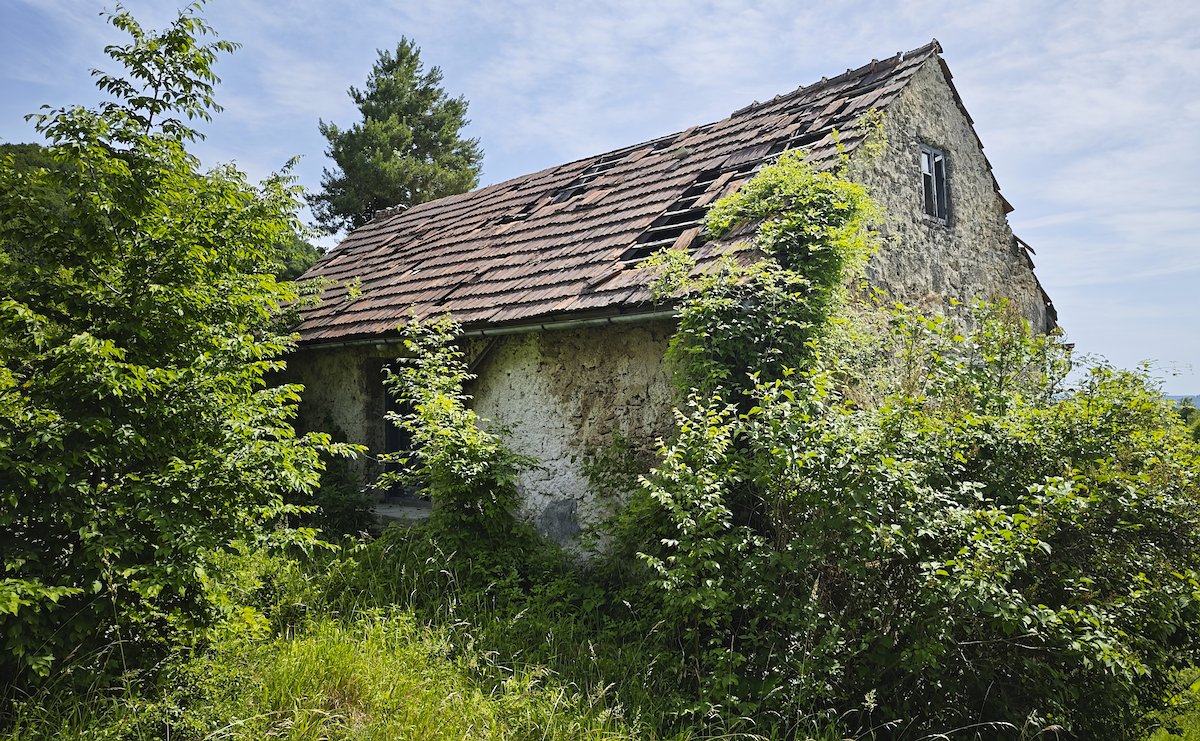 Brisalo i vranjak6