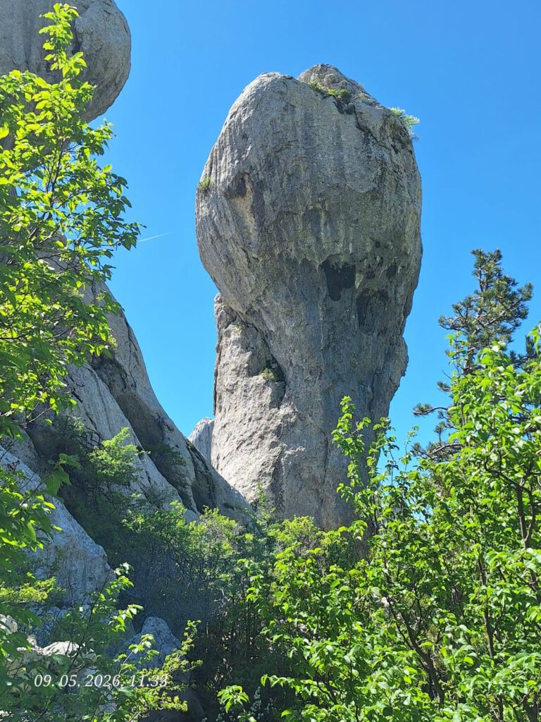 Bojin kuk