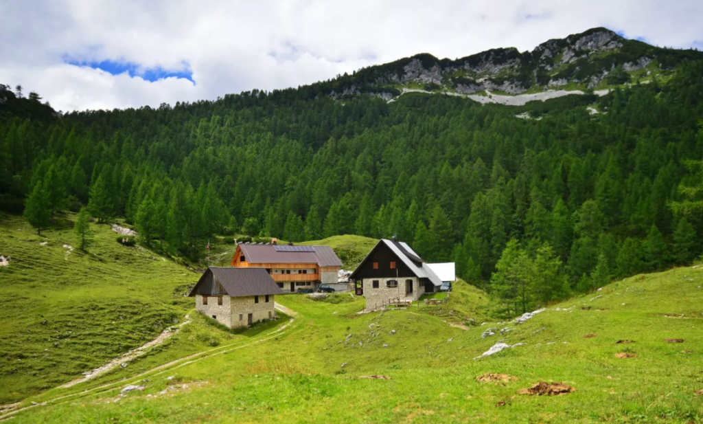 Blejska koca