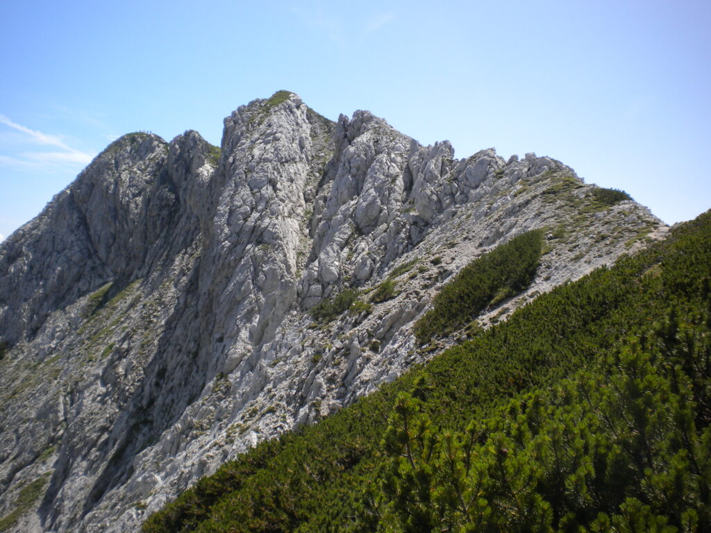 Visevnik