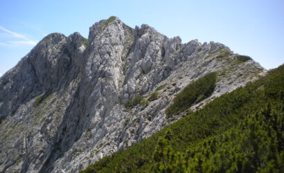Visevnik