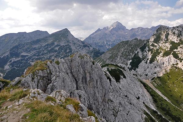 Visevnik
