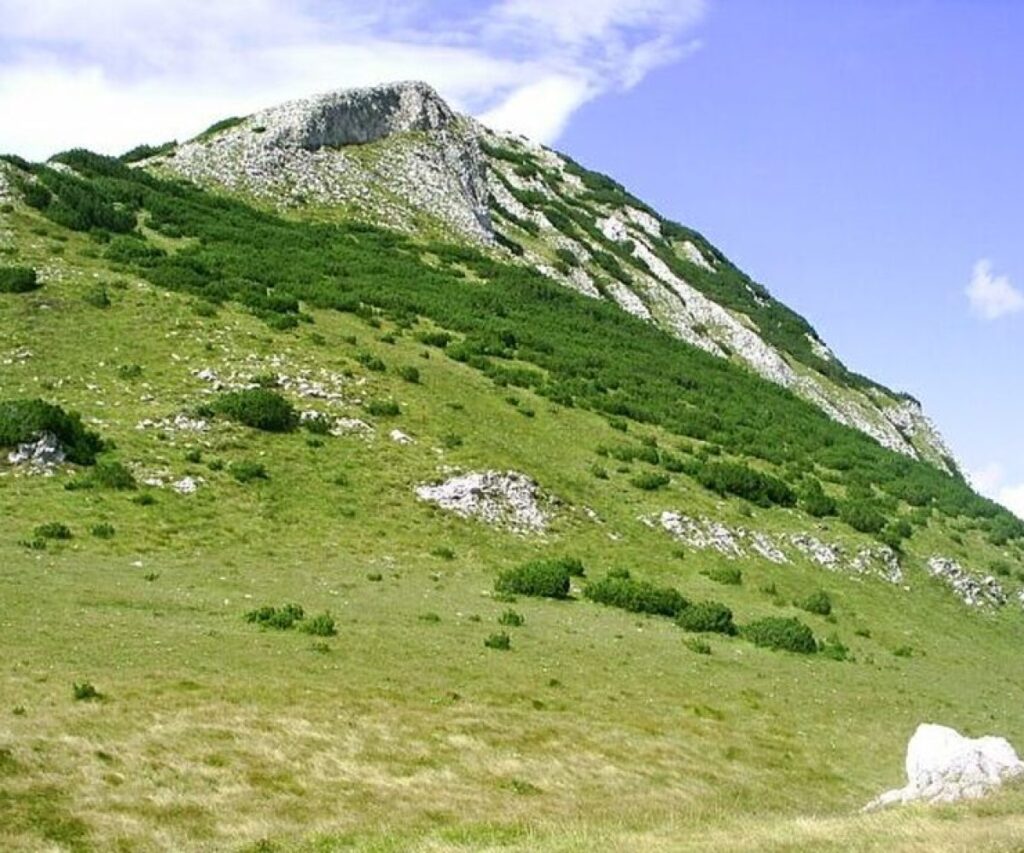 Mali maglaj
