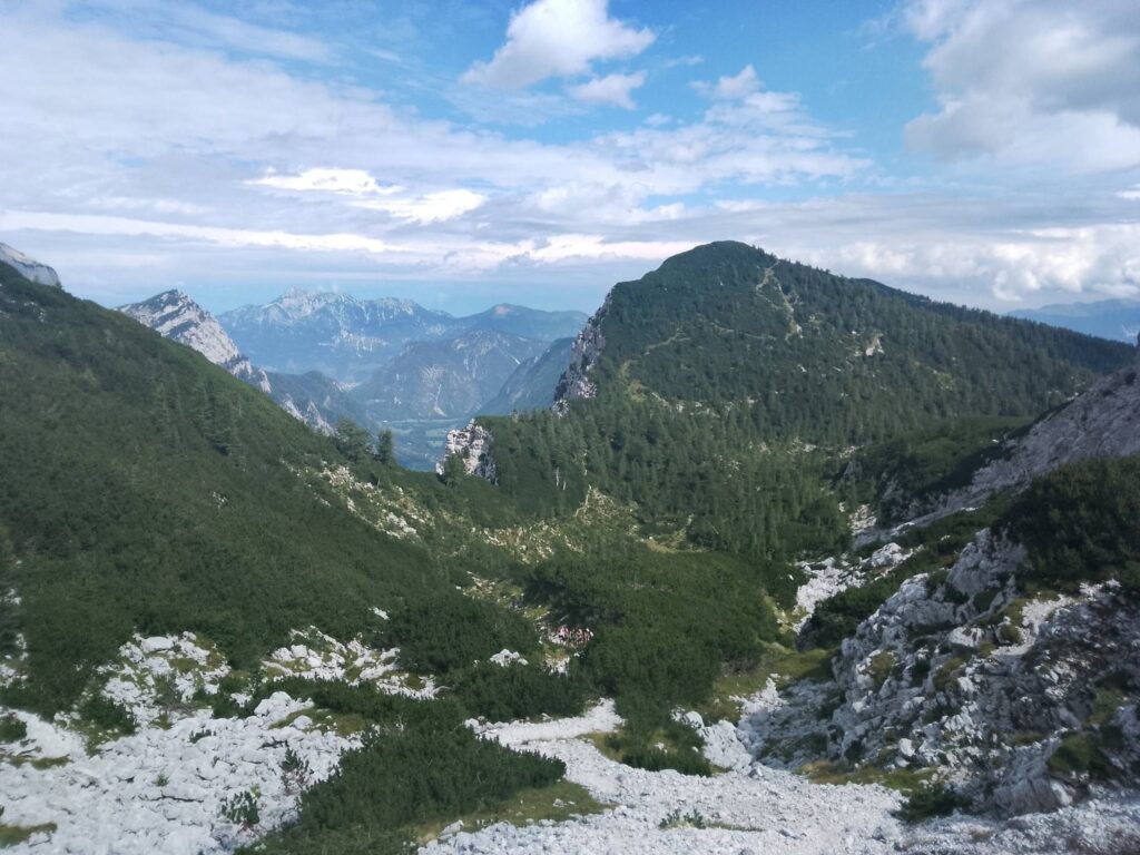 Visevnik