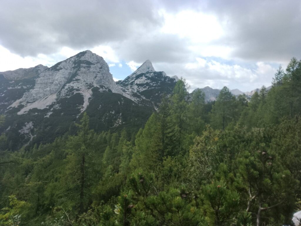 Visevnik