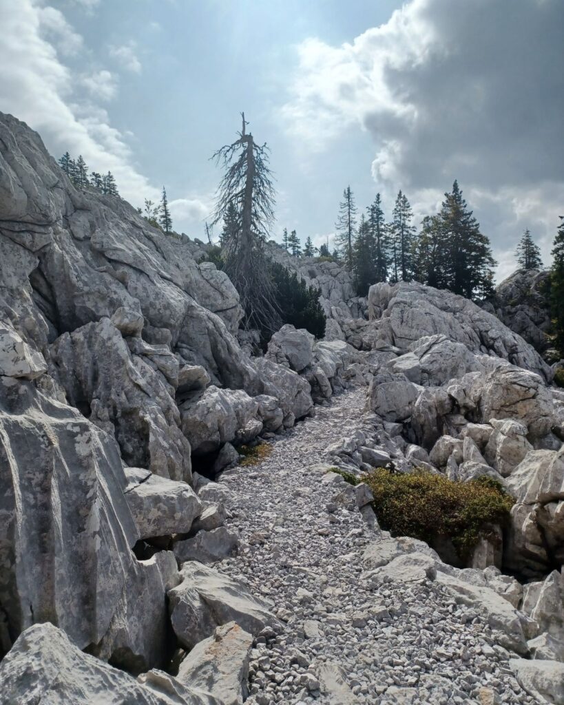 Premuziceva staza