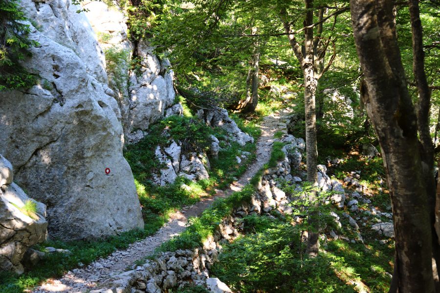 Premuziceva staza